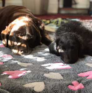 Meet your Posher, Ashleigh